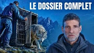 Miniature : Loups, hybrides, lâchers : le dossier sans filtre