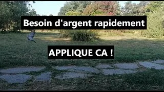 Miniature : Besoin d'argent rapidement pour une urgence ???