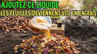 Miniature : Ce liquide transforme les feuilles sèches en ENGRAIS ORGANIQUE en quelques jours — les vers de terre