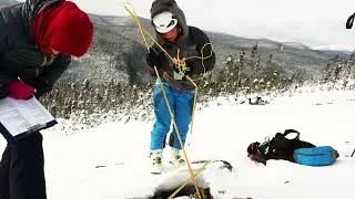 Miniature : Une montagne qui respire: le mont Hog’s Back comme refuge pour la biodiversité-L.Masliah & F.Bastoul
