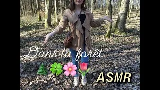Miniature : ASMR Français : De l'ASMR au cœur de la forêt !