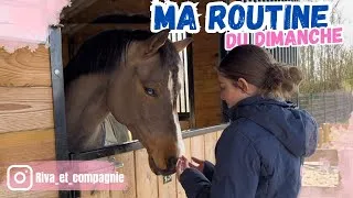Miniature : Un dimanche avec Moi : préparation et après midi aux écuries ! 😎