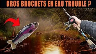 Miniature : Comment Pêcher le Brochet en EAU trouble et vaseuse ? [ Riverking ]