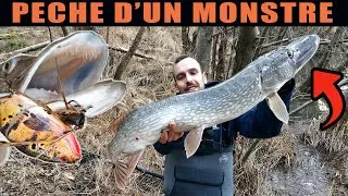 Miniature : Pêche d'un Brochet record dans une forêt inondée ! [ Riverking ]