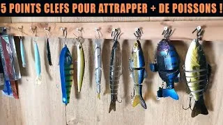 Miniature : 5 conseils pour progresser à la Pêche ! [ Riverking ]