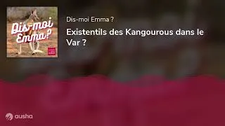Miniature : Existentils des Kangourous dans le Var ?