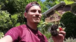 Miniature : En Mai, fais ce qu'il te plaît avec les Coupes Riviera !