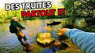 Miniature : On découvre un ruisseau rempli de TRUITES !