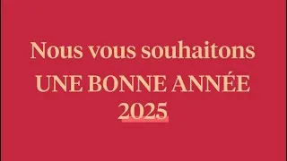 Miniature : Rétrospective en image de l'année 2024