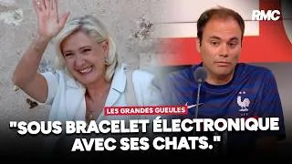 Miniature : "C'est son rêve d'être sous bracelet électronique avec ses chats." L'ironie de Charles Consigny