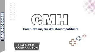 Miniature : Immunologie / Le système HLA