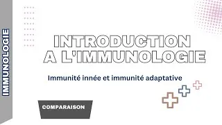 Miniature : Introduction à l'immunologie / Immunité innée et adaptative