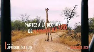 Miniature : Road trip moto en Afrique du Sud