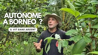 Miniature : Une vie dans la jungle : son Jardin-Forêt à Bornéo 🐍
