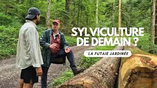 Miniature : Le Garde forestier, Balade en forêt avec Claude-André Montandon