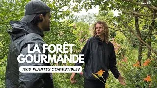 Miniature : Balade en forêt avec Claire Mauquié - le Jardin-Forêt