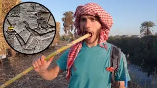 Miniature : How I got addicted to this Egyptian drug