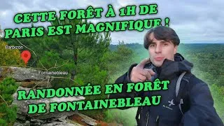 Miniature : Cette forêt à 1 heure de Paris est magnifique ! (randonnée en forêt de Fontainebleau)