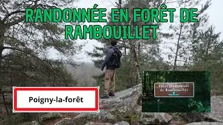 Miniature : La forêt de Rambouillet, un bel endroit pour randonner ? (Poigny-la-forêt)