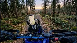 Miniature : Yamaha T7 : L'agilité d'un Trail en sous-bois