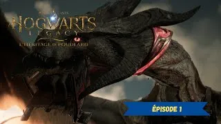 Miniature : Le jeu de l'année?! Hogwarts Legacy #1