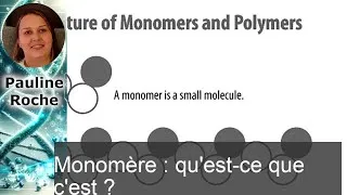 Miniature : Découvrez le Monomère : Définition, Utilisations et Importance en Chimie!