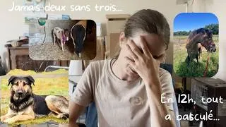 Miniature : Jamais deux sans trois... tout a basculé. 🕊️