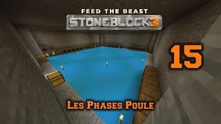 Miniature : 15 | L'amour est dans le Poulailler | Stoneblock 3