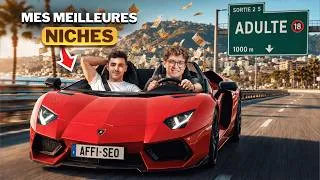 Miniature : AFFILIATION SEO : TOP 5 des Niches qui m'ont fait GAGNER le + d'Argent 💰