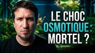 Miniature : Cette erreur tue vos poissons sans que vous le sachiez