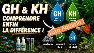 Miniature : GH et KH Aquarium : Comprendre enfin la dureté de l'eau simplement