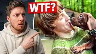 Miniature : Vrai chien ou IA ? Netflix a énervé tout le monde
