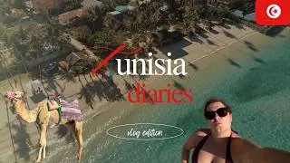 Miniature : UN AVANT GOUT DE L’ÉTÉ EN TUNISIE
