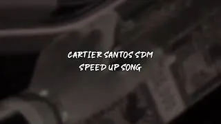 Miniature : cartier santos sdm - speed up