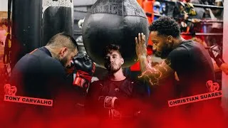 Miniature : Boxe : On Répond à Vos Questions les Plus Fréquentes