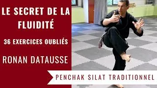 Miniature : 36 Exercices de Silat pour Développer Fluidité, Équilibre et Puissance (Ronan Datausse)