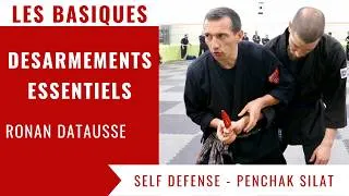 Miniature : Fondamentaux du Penchak Silat : Désarmements Essentiels contre Couteau, Bâton et Arme à Feu