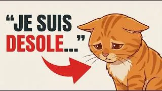 Miniature : Comment les chats s'excusent-ils ? La reponse va te surprendre