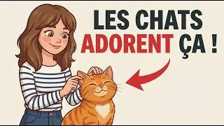 Miniature : 5 choses que les chats ADORENT (et que les proprietaires font rarement)
