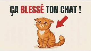 Miniature : 6 choses du quotidien qui BLESSENT ton chat (sans que tu le saches)