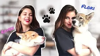 Miniature : ON A CRAQUÉ ! 🐶