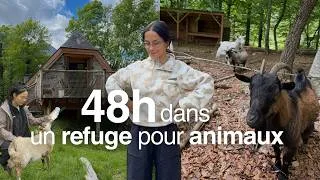Miniature : vivre dans un refuge — 48h avec les animaux, lodge en montagne & slow week