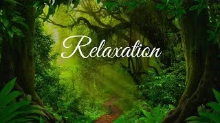 Miniature : 10 minutes de pure relaxation #âme #respiration #relaxation #meditation @RoseMéditation13 