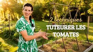 Miniature : Comment tuteurer ses tomates ? 2 méthodes testées au potager 🍅