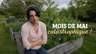 Miniature : Pluie, froid, limaces : l'état de mon potager en mai 2026 ☔️ 🐌