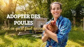 Miniature : Non, vous n’avez pas besoin d’un coq pour avoir des oeufs 🐓 & autres idées reçues sur les poules