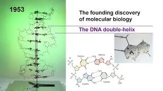 Miniature : 6  Ai In Molecular Biology