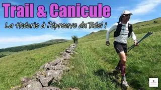 Miniature : Trail & Canicule : la théorie à l'épreuve du réel ! 🏃‍♂️😈✔