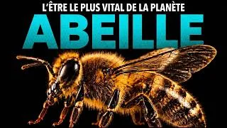 Miniature : Les abeilles: pourquoi sont-elles si essentielles à la planète?