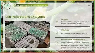 Miniature : Conservation et santé des sols maraîchers au Québec